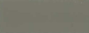 RAL 7003.jpg